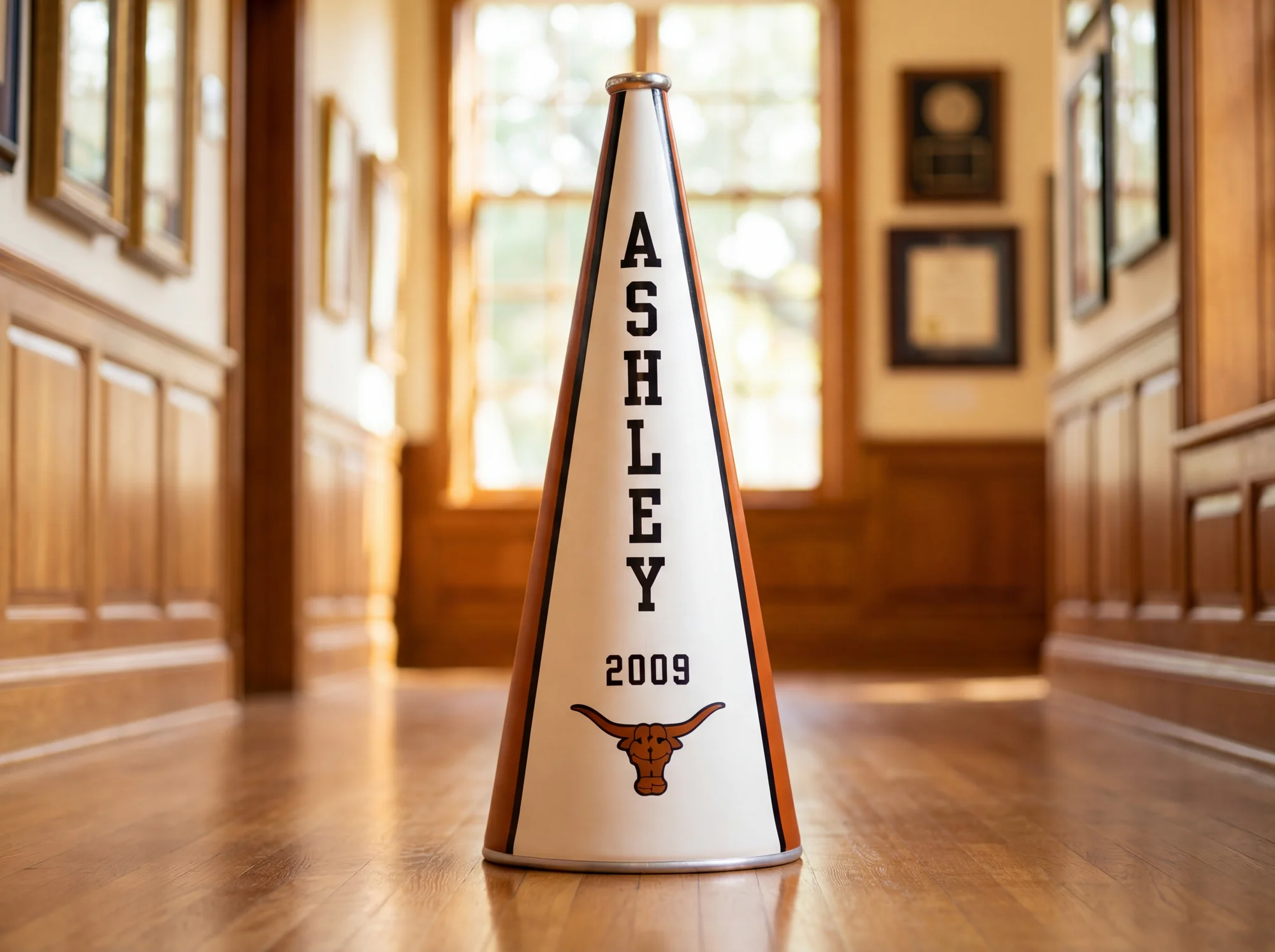 Vinyl graphics on Megaphone